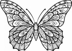 Раскраска антистресс бабочка #7 #204259