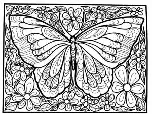 Раскраска антистресс бабочка #11 #204263