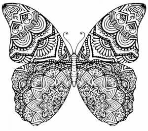 Раскраска антистресс бабочка #15 #204267