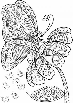 Раскраска антистресс бабочка #18 #204270