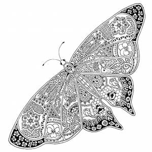 Раскраска антистресс бабочка #20 #204272
