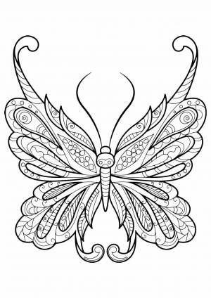 Раскраска антистресс бабочка #23 #204275