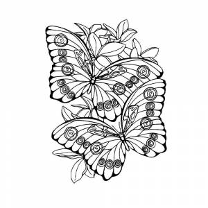 Раскраска антистресс бабочка #31 #204283