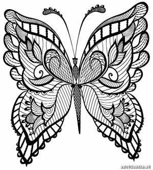 Раскраска антистресс бабочка #37 #204289