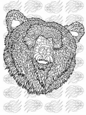 Раскраска антистресс медведь #25 #205200