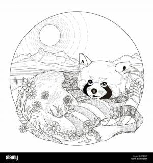 Раскраска антистресс панда #9 #205406