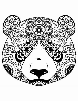 Раскраска антистресс панда #15 #205412