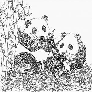 Раскраска антистресс панда #21 #205418