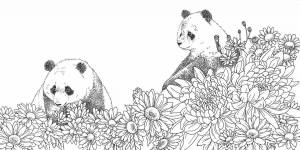 Раскраска антистресс панда #27 #205424