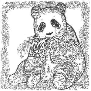 Раскраска антистресс панда #35 #205432