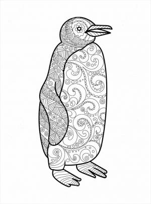 Раскраска антистресс пингвин #7 #205515