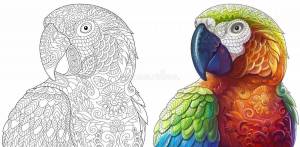 Раскраска антистресс попугай #8 #205632
