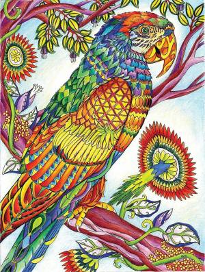 Раскраска антистресс попугай #14 #205638