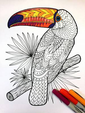 Раскраска антистресс попугай #22 #205646