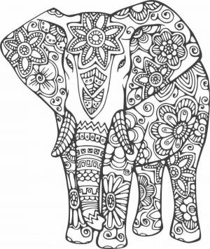 Раскраска антистресс слон #13 #205899