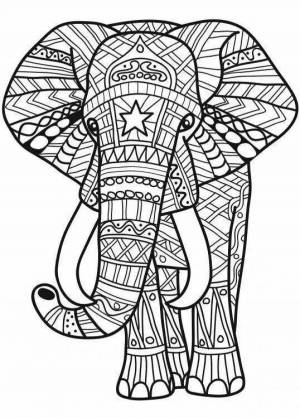 Раскраска антистресс слон #17 #205903