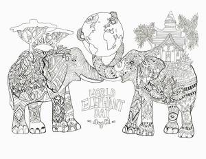 Раскраска антистресс слон #27 #205913