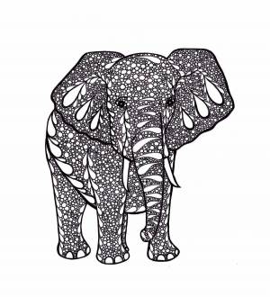 Раскраска антистресс слон #29 #205915