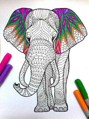 Раскраска антистресс слон #31 #205917