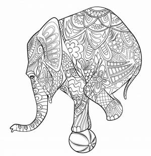 Раскраска антистресс слон #32 #205918