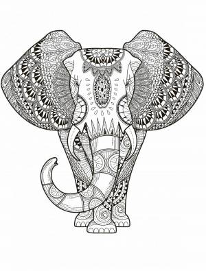 Раскраска антистресс слон #36 #205922