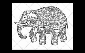 Раскраска антистресс слон #38 #205924