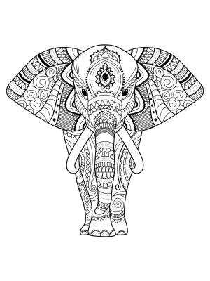Раскраска антистресс слон #39 #205925