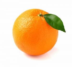 Раскраска апельсин для детей 2 3 лет #1 #206565