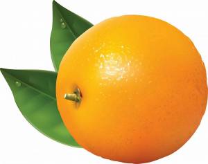Раскраска апельсин для детей 2 3 лет #2 #206566