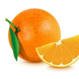 Раскраска апельсин для детей 2 3 лет #3 #206567