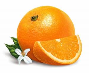 Раскраска апельсин для детей 2 3 лет #5 #206569