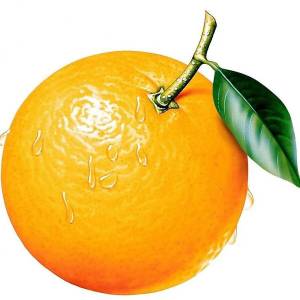 Раскраска апельсин для детей 2 3 лет #6 #206570
