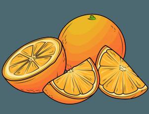 Раскраска апельсин для детей 2 3 лет #7 #206571