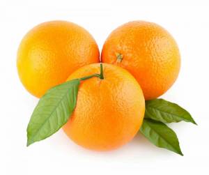 Раскраска апельсин для детей 2 3 лет #8 #206572