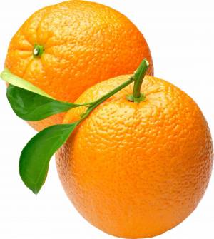 Раскраска апельсин для детей 2 3 лет #9 #206573