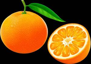 Раскраска апельсин для детей 2 3 лет #11 #206575