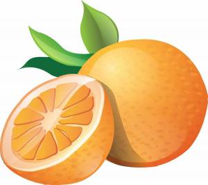 Раскраска апельсин для детей 2 3 лет #13 #206577
