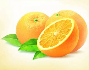 Раскраска апельсин для детей 2 3 лет #17 #206581