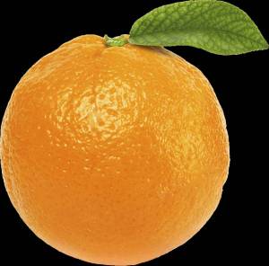Раскраска апельсин для детей 2 3 лет #19 #206583