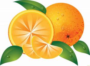 Раскраска апельсин для детей 2 3 лет #20 #206584