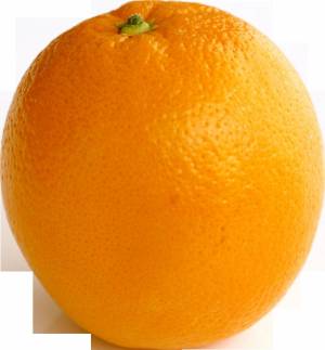Раскраска апельсин для детей 2 3 лет #26 #206590