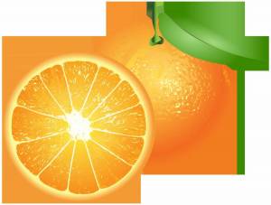 Раскраска апельсин для детей 2 3 лет #27 #206591