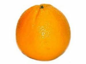 Раскраска апельсин для детей 2 3 лет #28 #206592