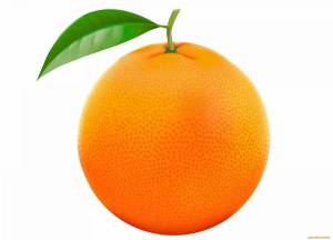 Раскраска апельсин для детей 2 3 лет #31 #206595