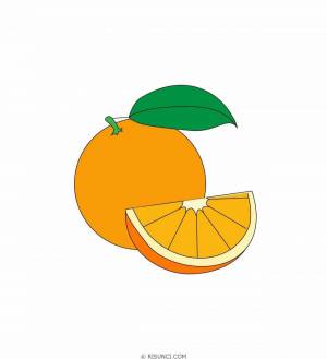 Раскраска апельсин для детей 2 3 лет #33 #206597