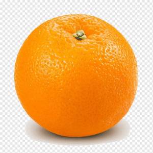 Раскраска апельсин для детей 2 3 лет #35 #206599