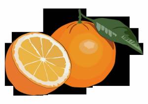 Раскраска апельсин для детей 2 3 лет #36 #206600