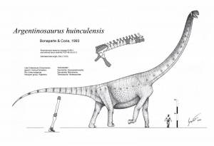 Раскраска аргентинозавр #27 #207001