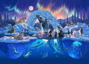 Раскраска арктика для детей #10 #207189
