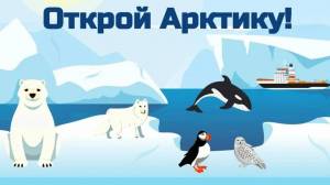 Раскраска арктика для детей #29 #207208